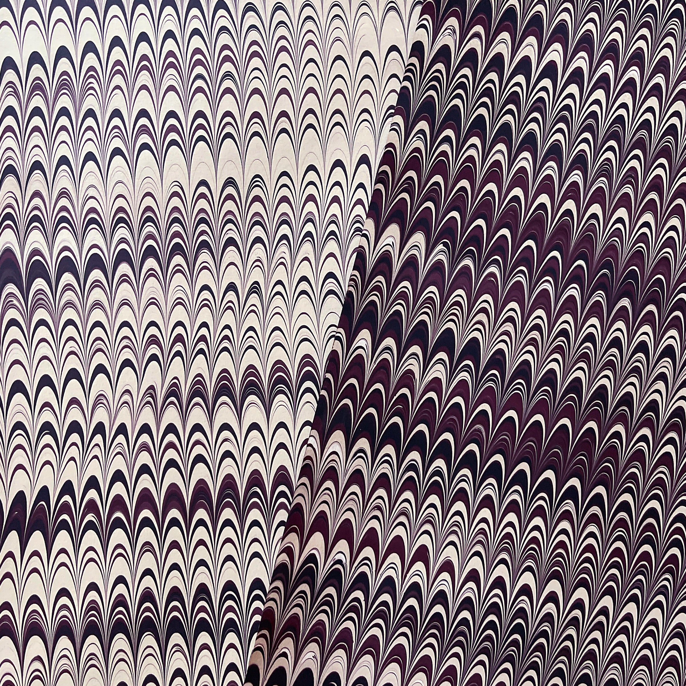 Midnight and Moonlight (Set of 4)