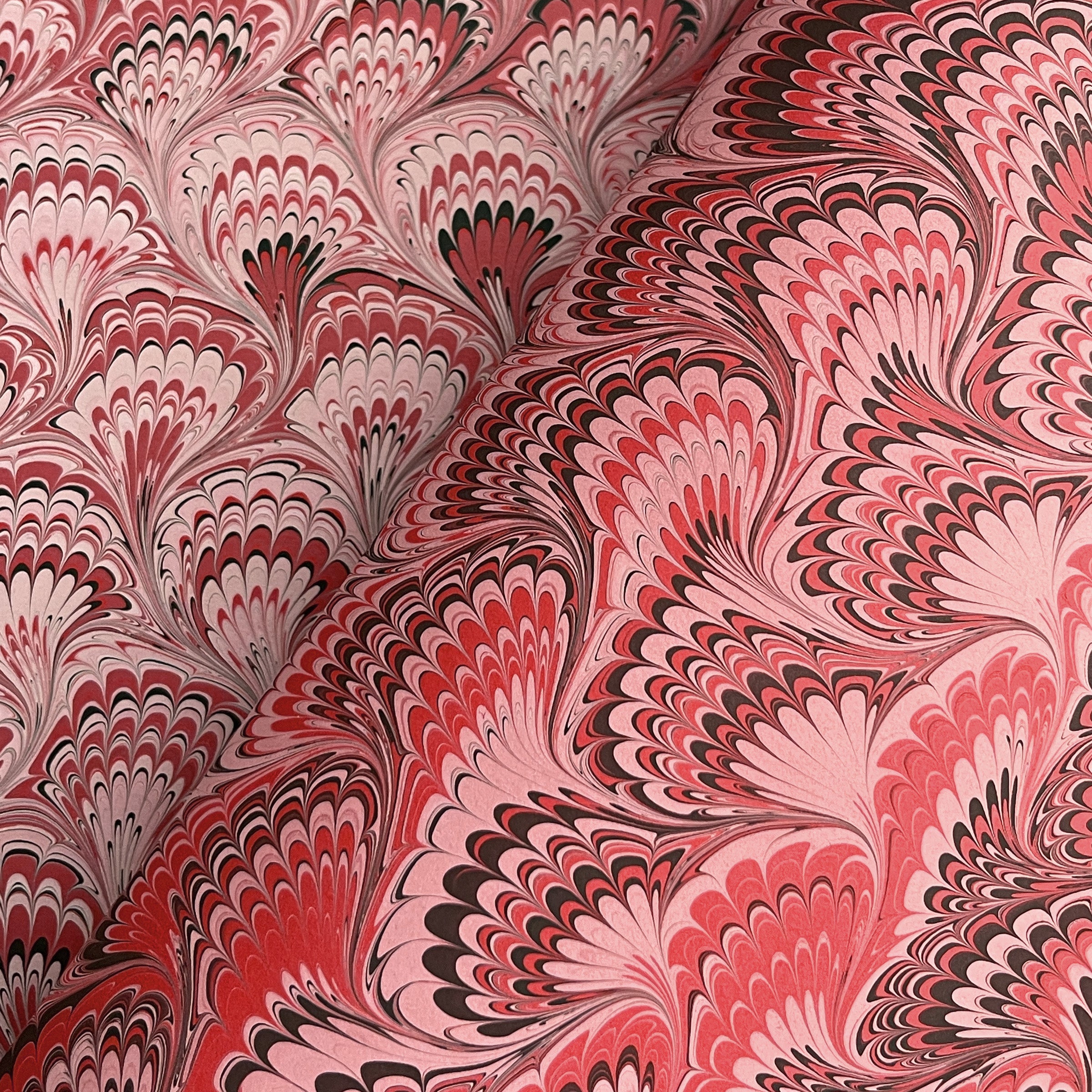 Nightfire Peacock (Set of 2)