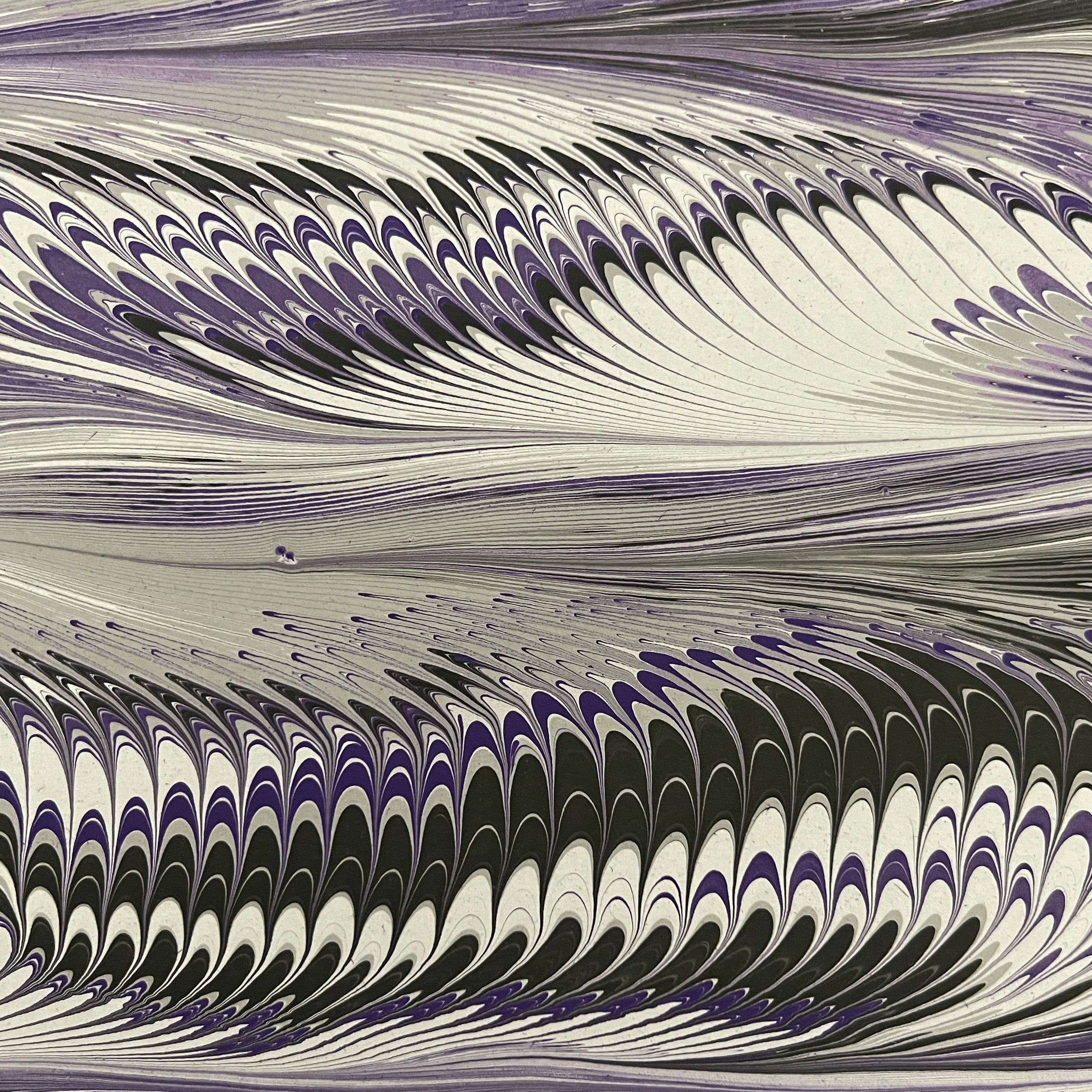 Dark Fog (Charmingly Irregular Second)