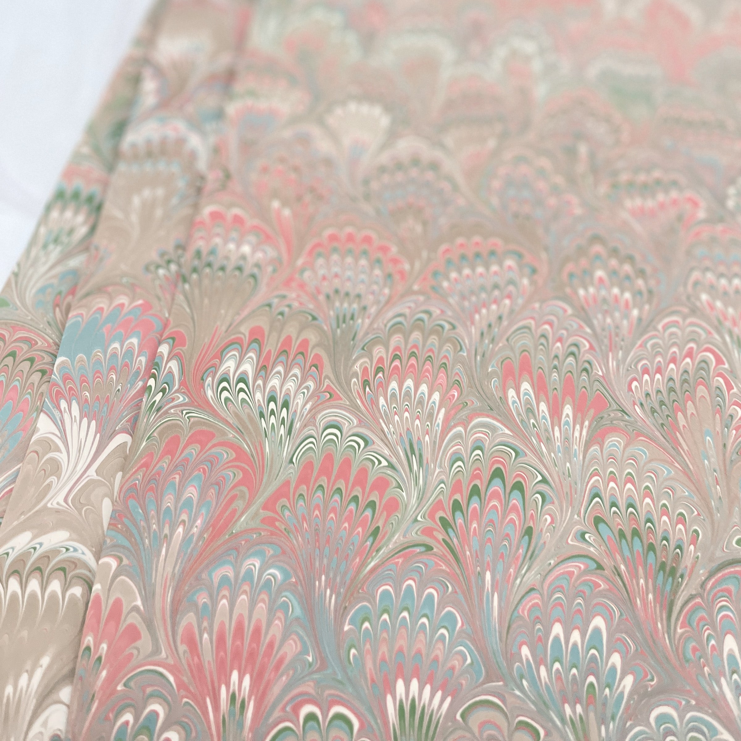 Il Pavona (1st & 2nd Quality)