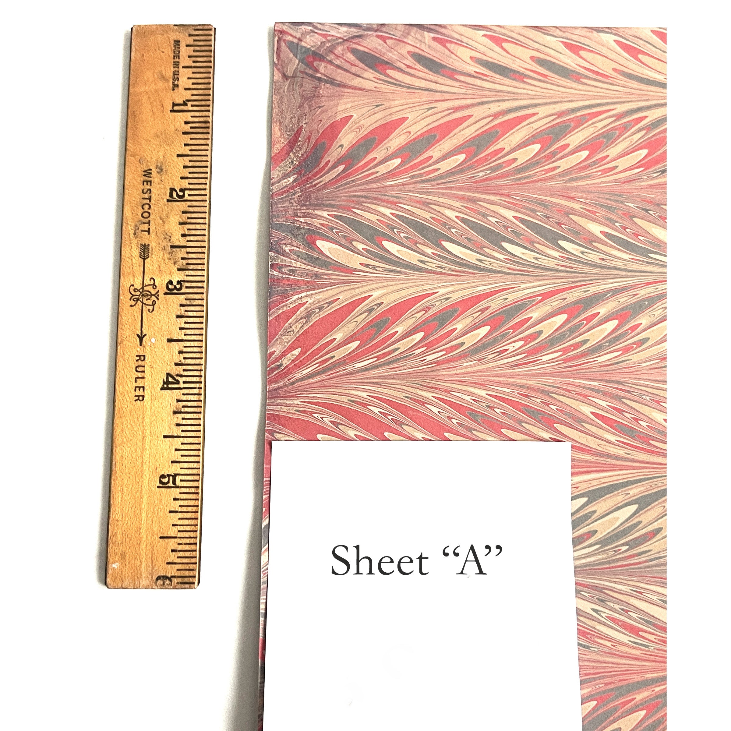 Feathered Elegance (Salmon and Slate)