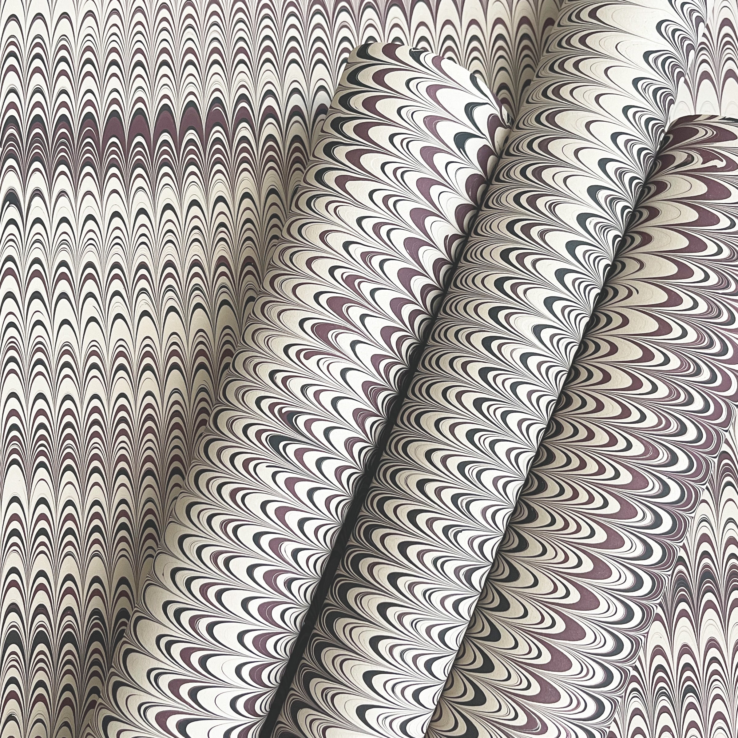 Midnight and Moonlight (Set of 4)