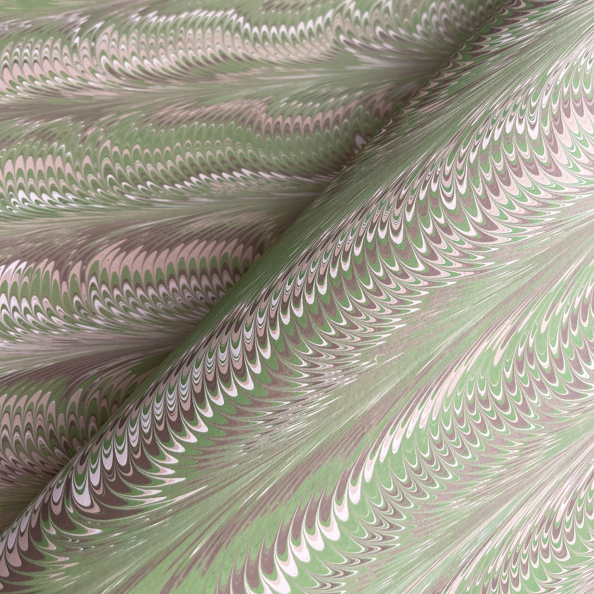 Olive and Brown Feather