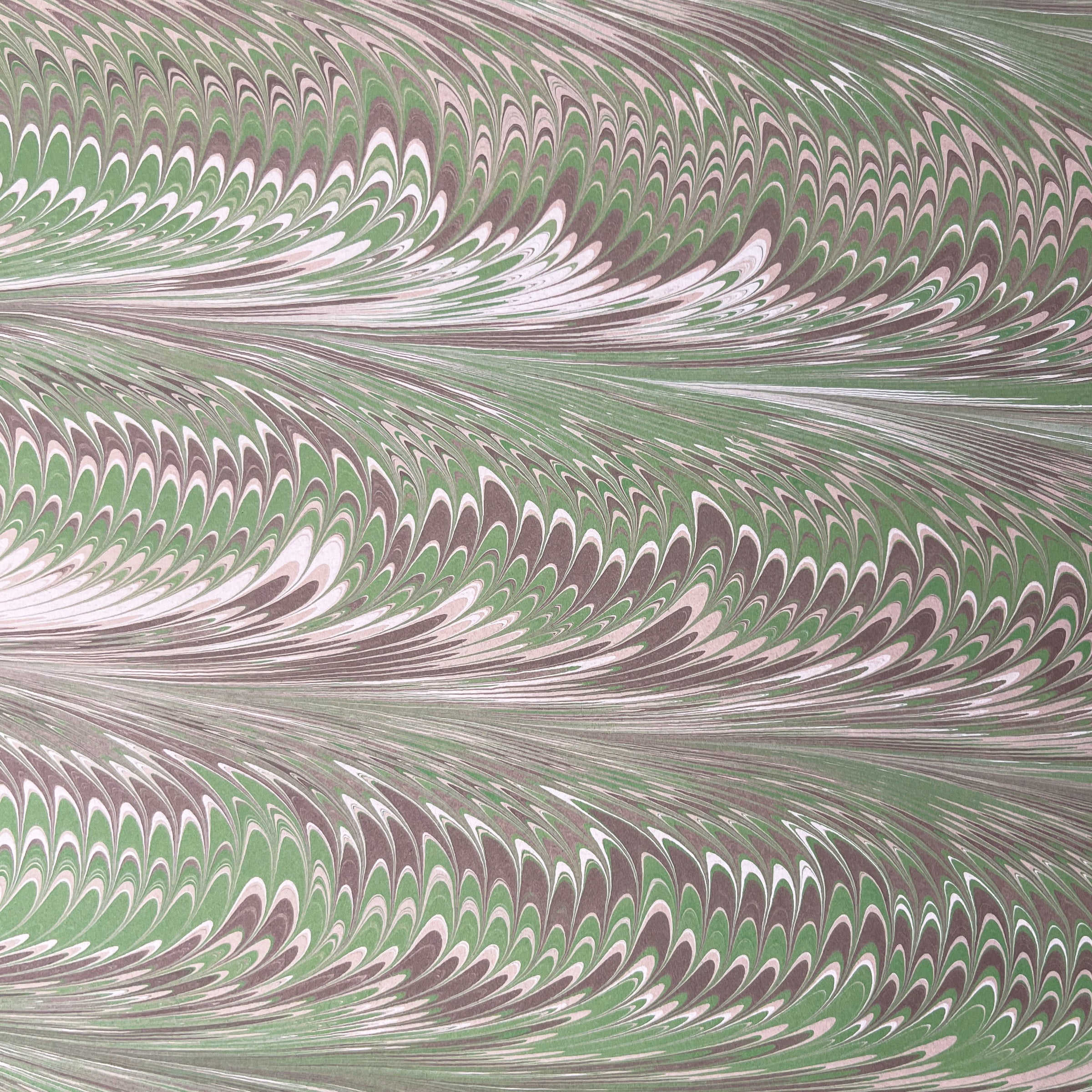 Olive and Brown Feather