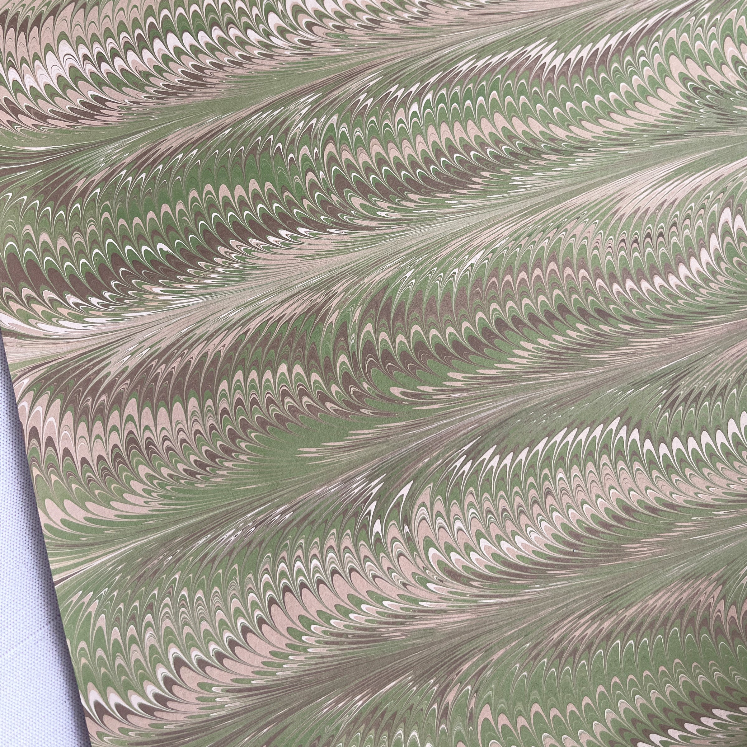 Olive and Brown Feather