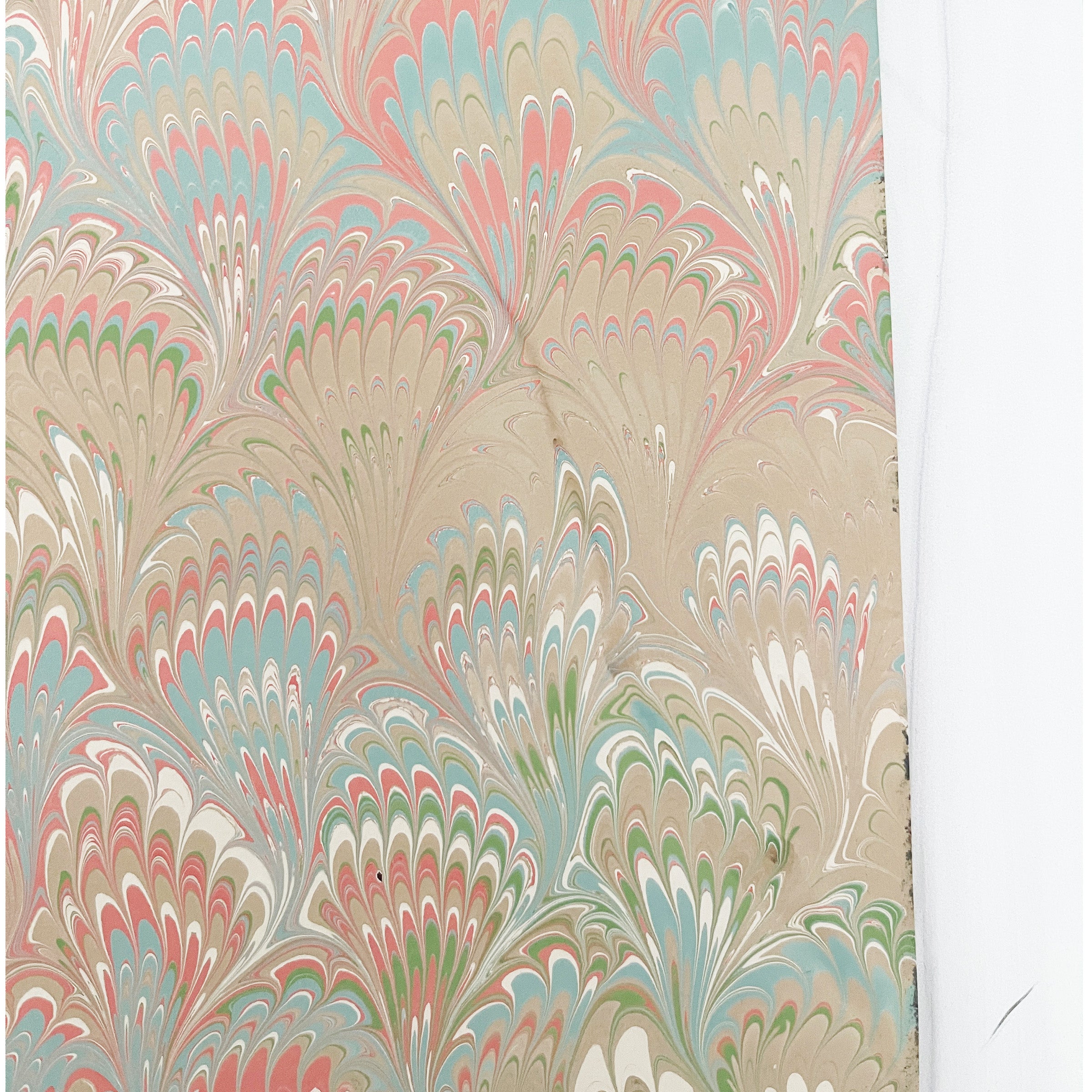 Il Pavona (1st & 2nd Quality)