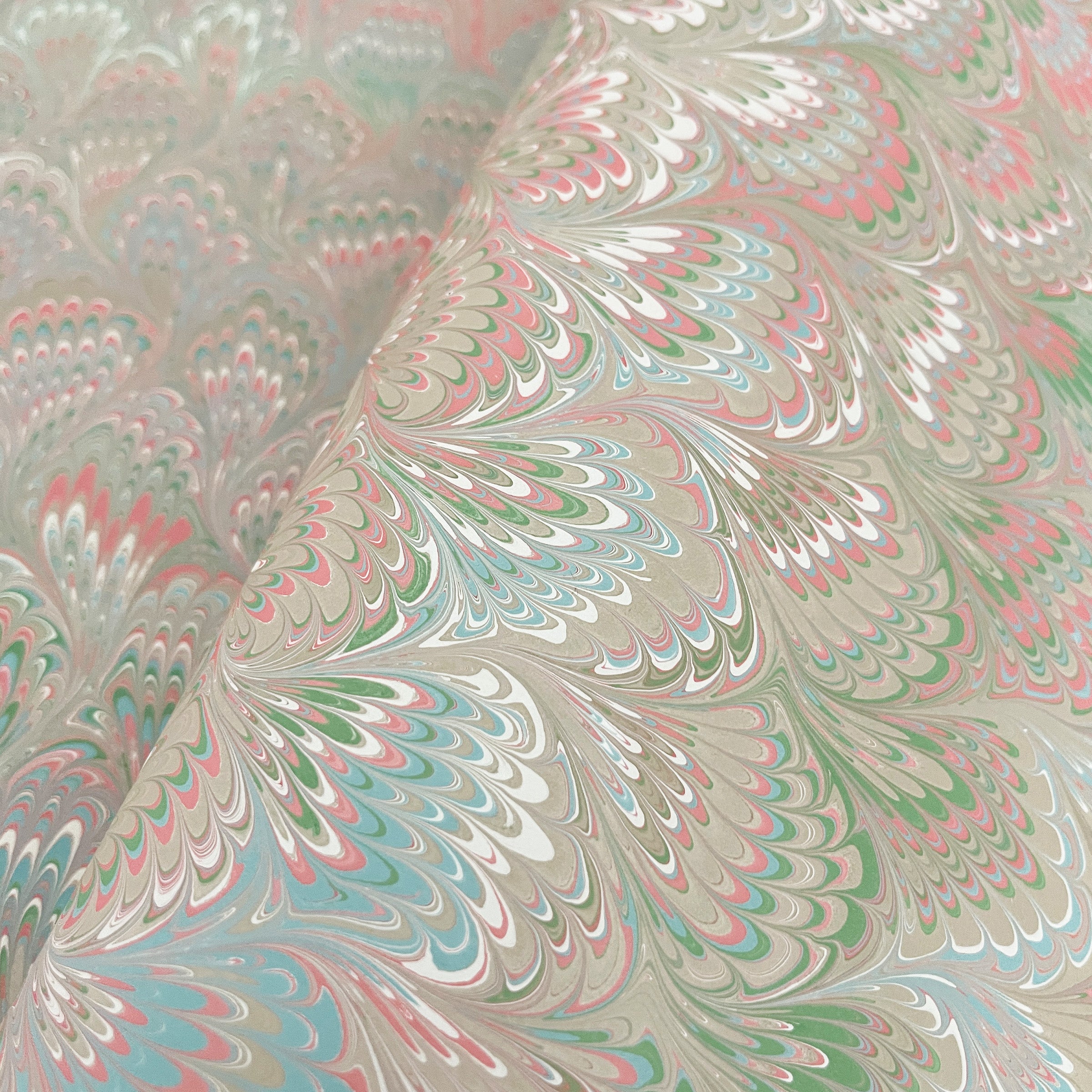 Il Pavona (1st & 2nd Quality)